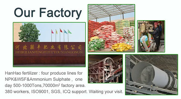 Factory Overview