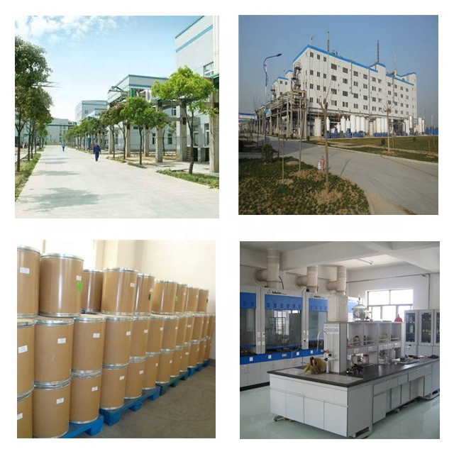 Bio Fertilizer Seaweed Extract Seaweed Fertilizer