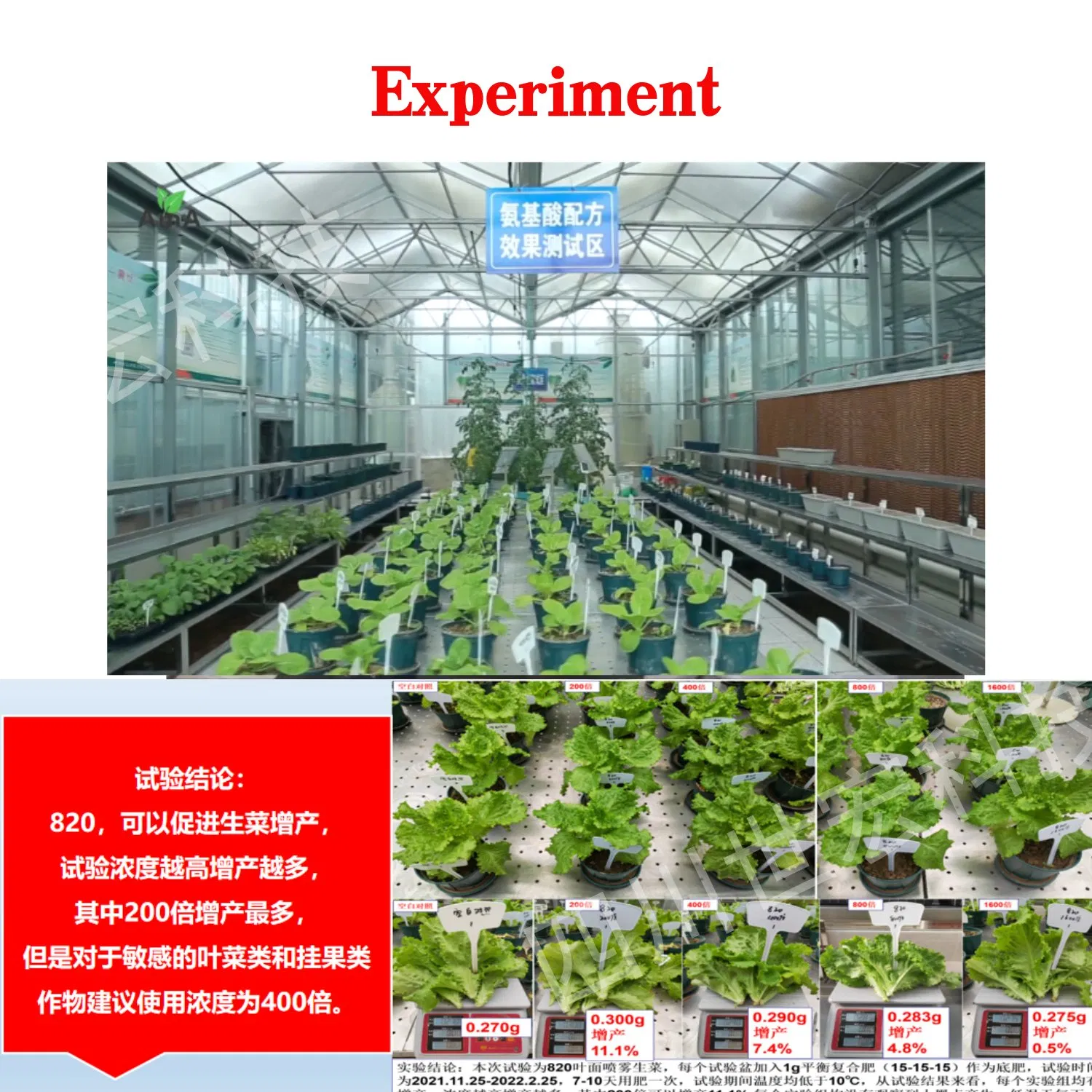 Bio Fish Protein Fertilizer Organic Fertilizer