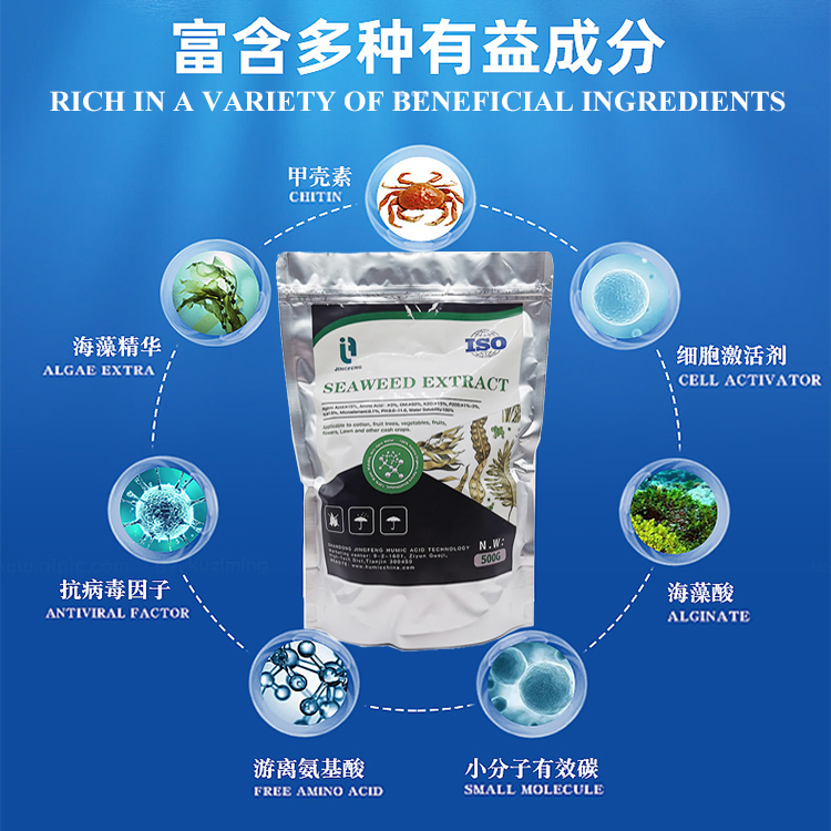 Algae Fertilizer 500 Grams 1kg Packing Seaweed Extract Powder Fertilizer