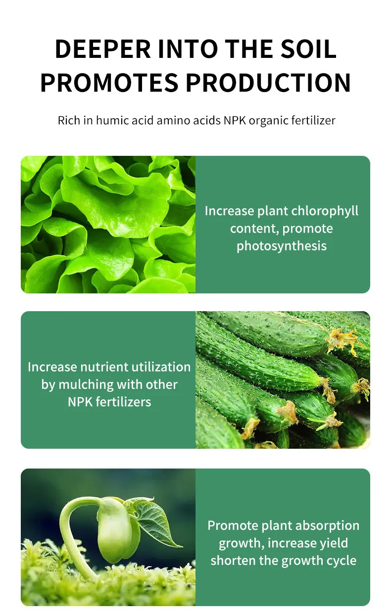NPK Fertilizer 6