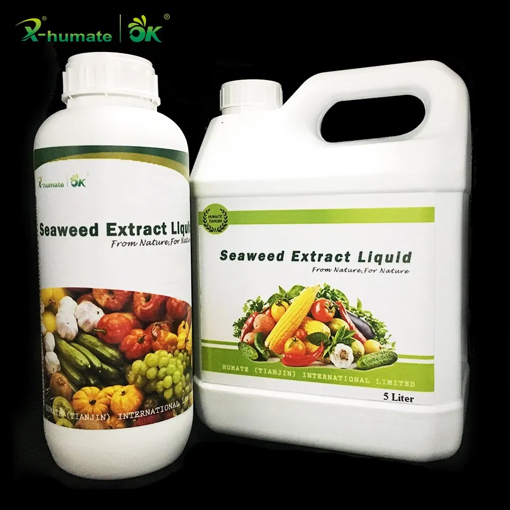 X- Humate Seaweed Extrtract Solid Fertilizer Agriculture