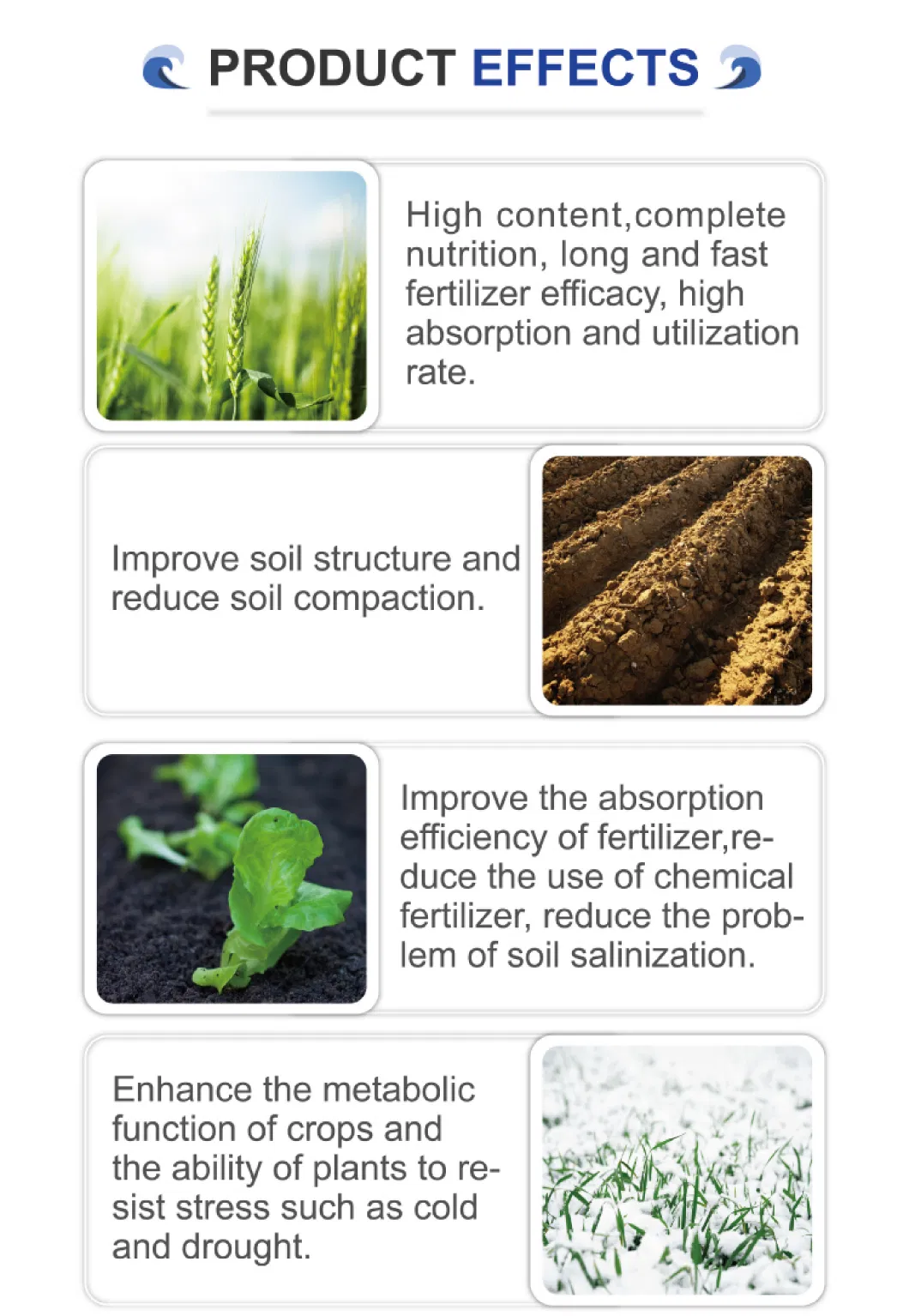 Liquid Fertilizer Detail