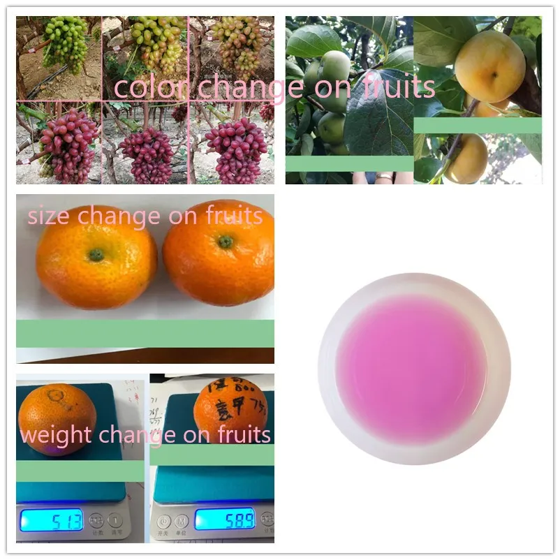 Fruit Ripening Result