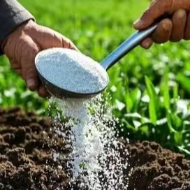Nitrogen-Phosphorus-Potassium Compound Fertilizer for Gardens