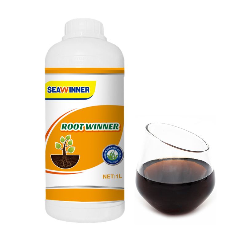 Root Promoter Root Organic Fertilizer