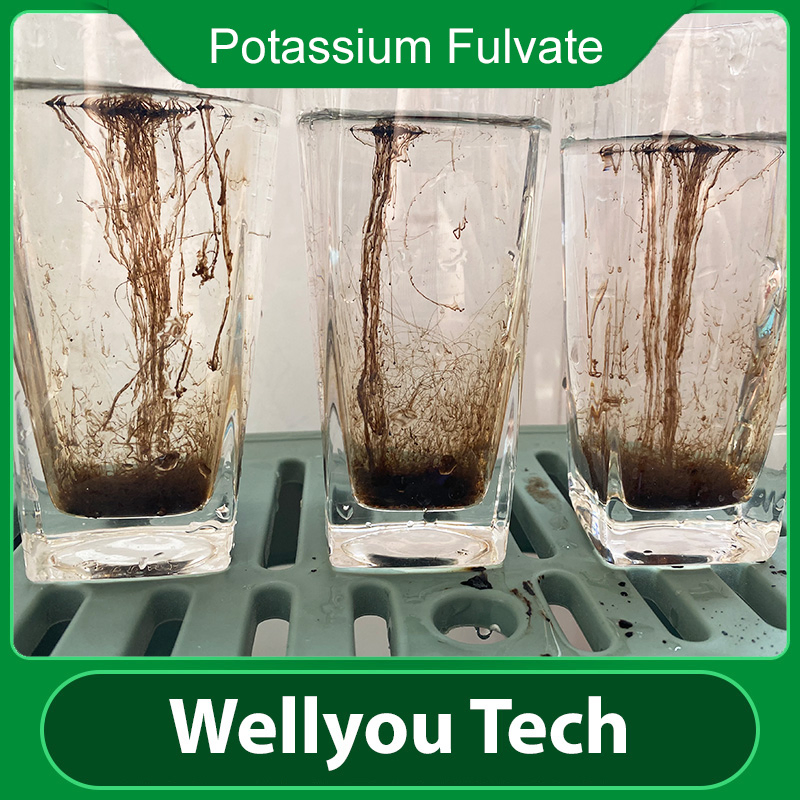 Humic Acid Potassium Fulvate Water Soluble Organic Fertilizer From Wellyou Tech