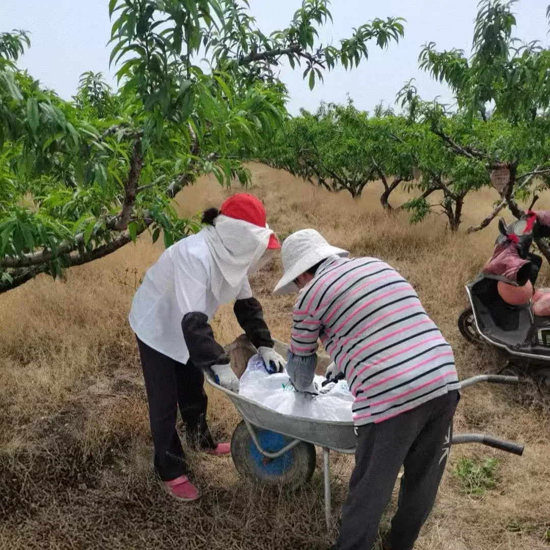 Nitrogen-Phosphorus-Potassium Compound Fertilizer for Gardens