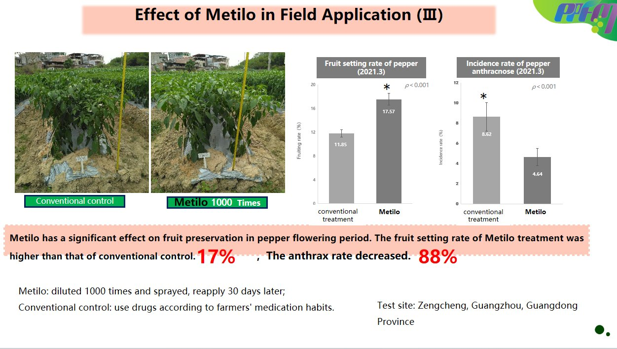 Nitrogen Fixing Bacteria Methylobacterium Liquid Foliar Fertilizer for Plant and Vegetable Biostimulant Growth Stimulant