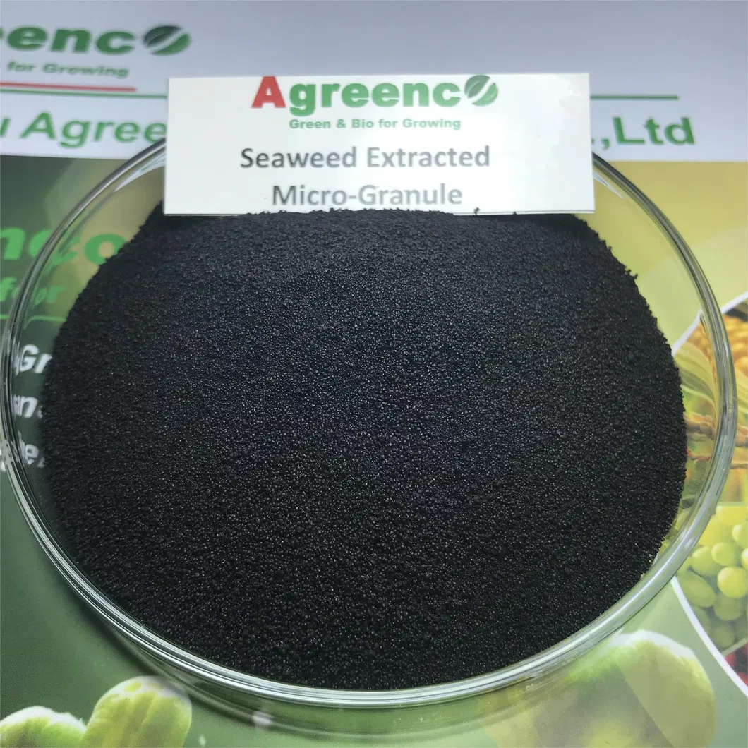 Seaweed Extract 3