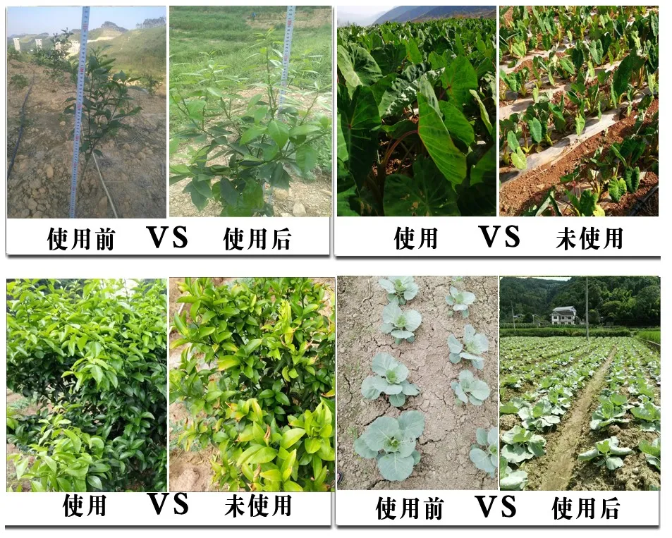 Potassium Nitrate Fertilizer