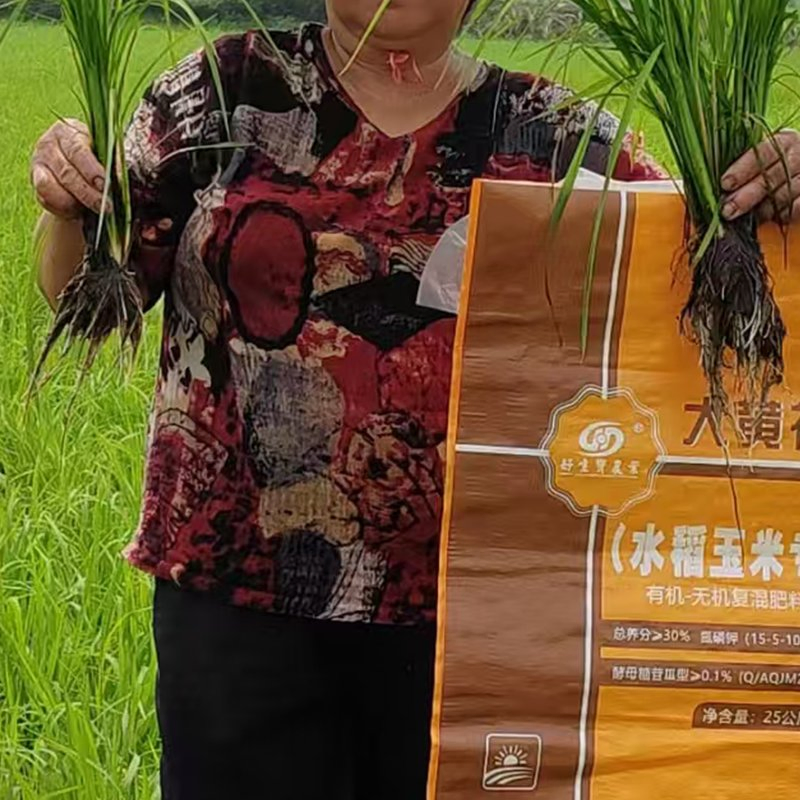 Factory Price Granular NPK 15-5-10 4-0-40 6-0-10 Compound Agriculture Fertilizer for Rice/Wheat/Corn