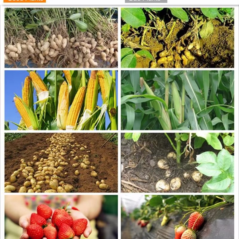 The Most Favorable Price for Urea 46% Granular Solid Nitrogen Fertilizer