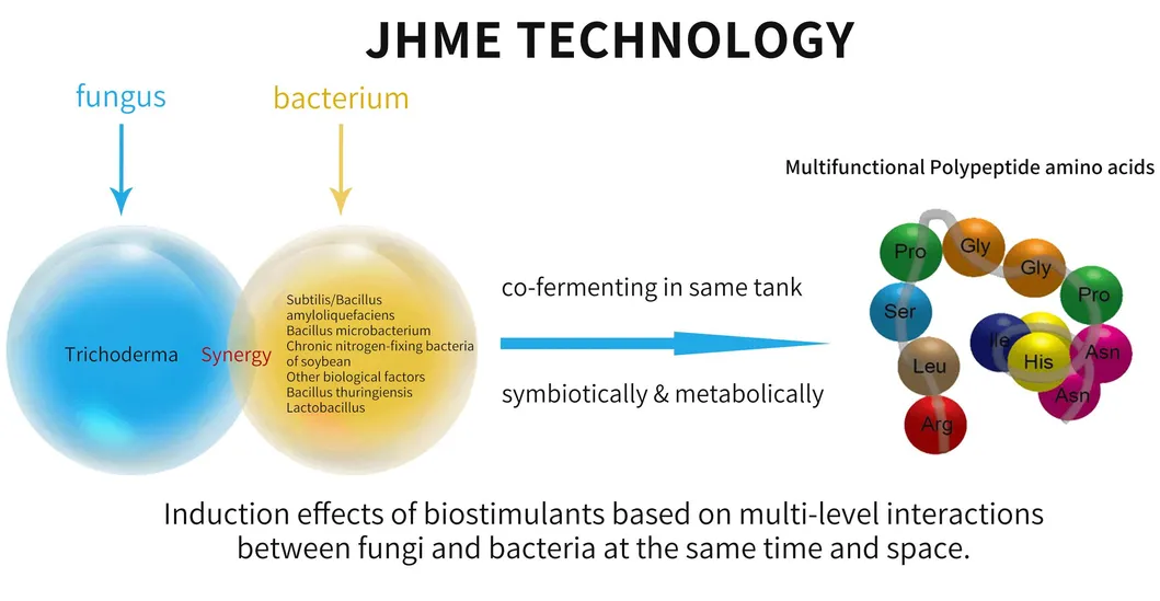 Polypeptide amino acid