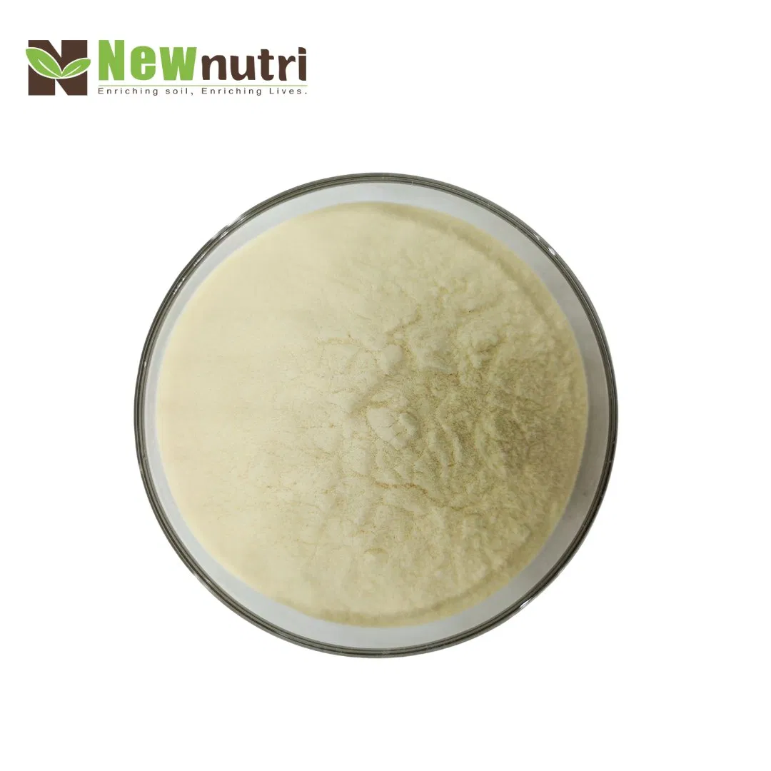 Concentrated 80% Amino Acid Plant Fertilizer for Optimal Growth Plant Growth Stimulant