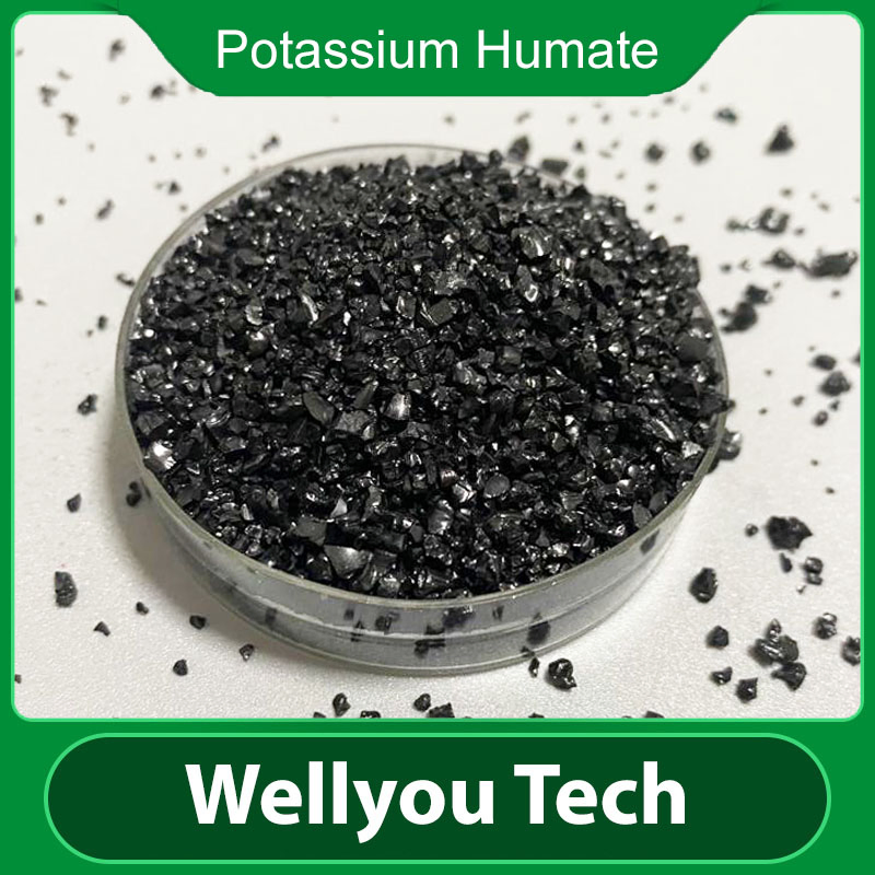 Leonardite Source Humic Acid/ Potassium Humate Organic Fertilizer Wellyou Tech