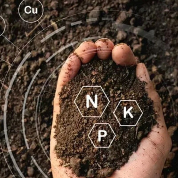 Nitrate Sop-Based NPK Compound Fertilizer – Fully Water-Soluble for Plant