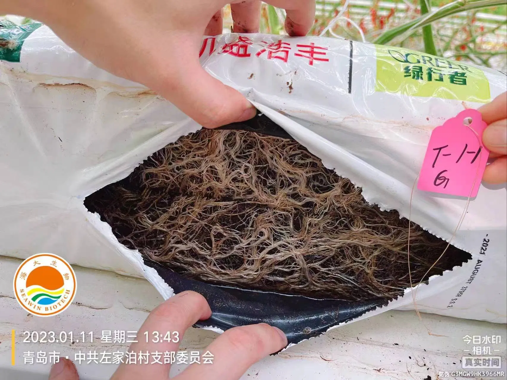 Fertilizer Biostimulant Amino Acid Seaweed Extract Alga Root Promoter Plant Nutrition