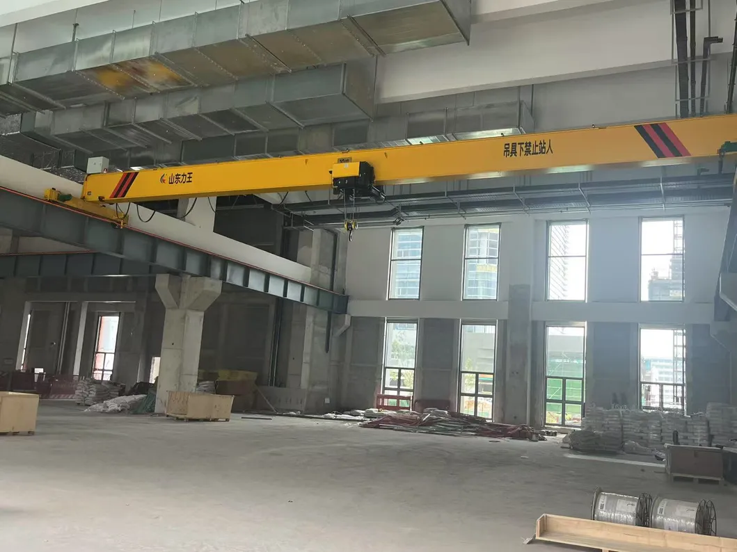 Electric Single Beam Crane 6