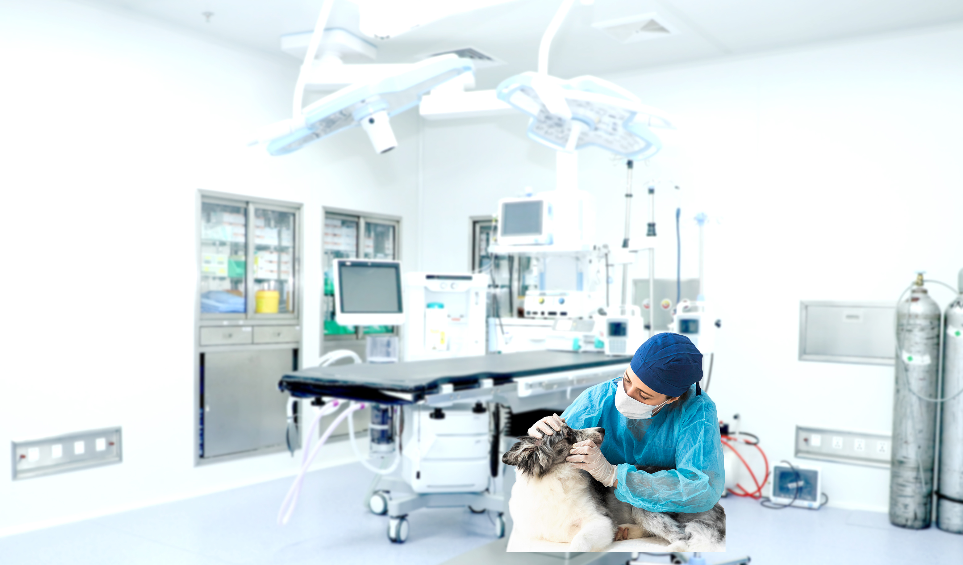 Clinical Use