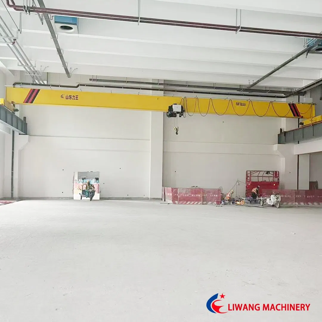 Digital Twin Ldt European Electric Single Beam Crane with Virtual Simulation Technology Best Price