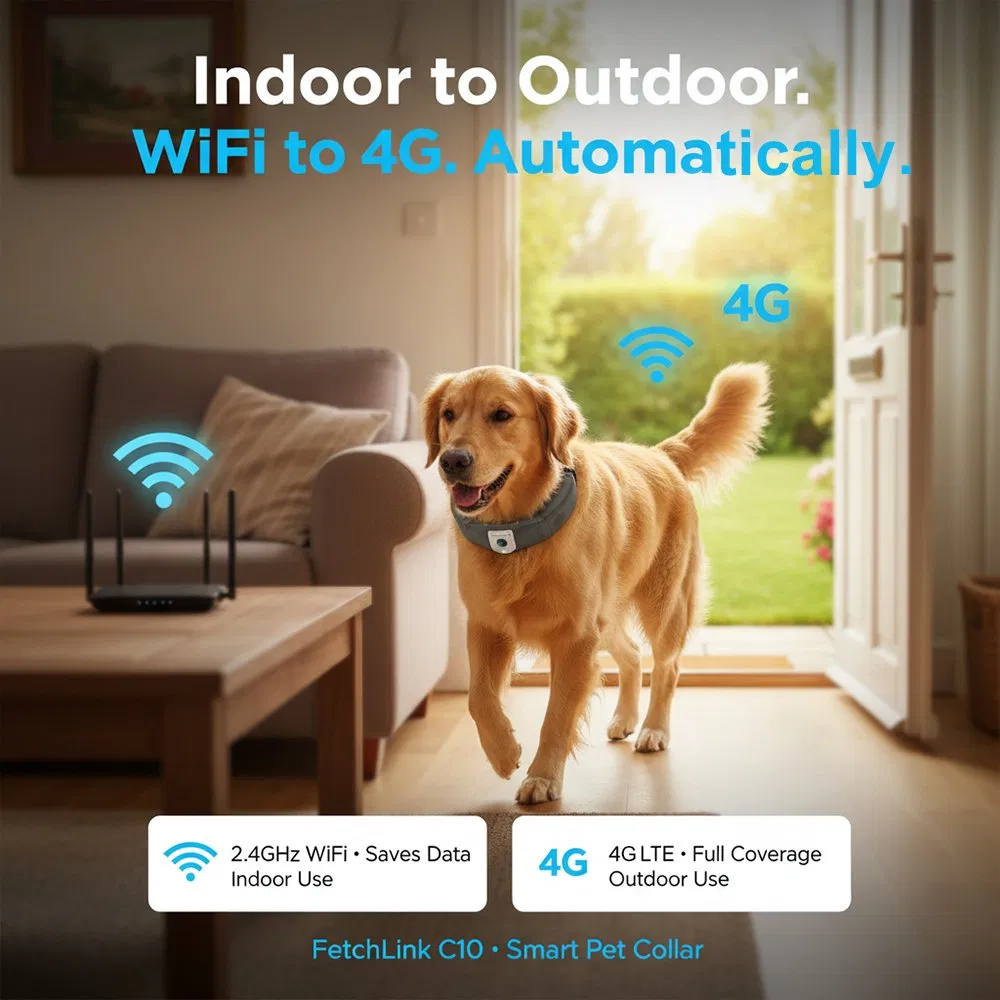Dog Mini Educator Remote for Dogs