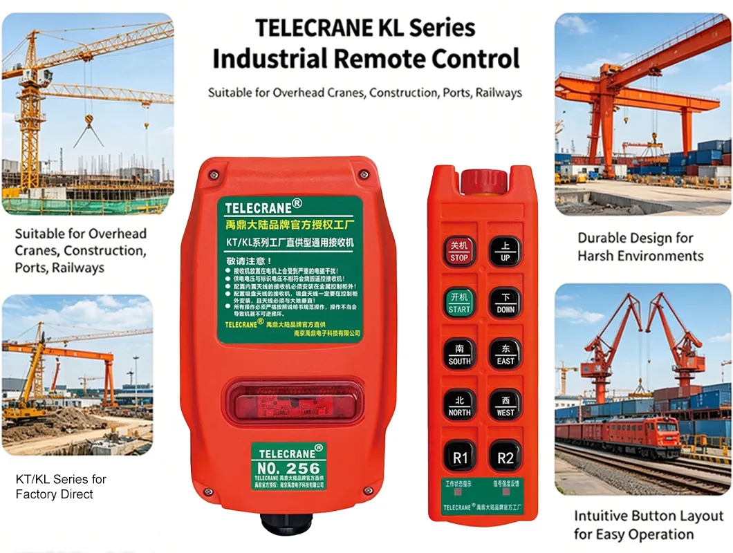 Industrial Remote Control View 2