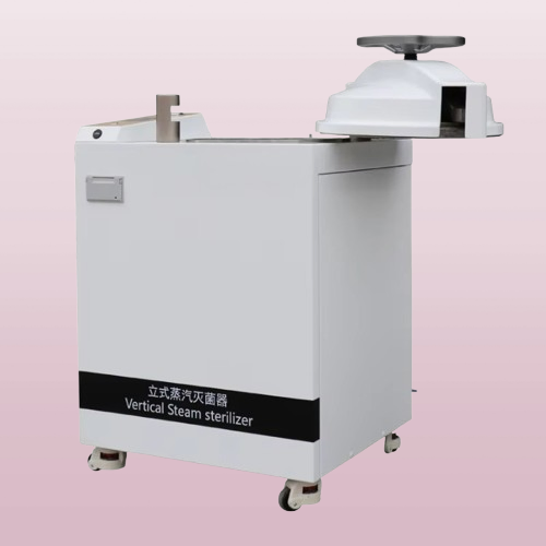 Advanced Touch Screen Sterilizer with Built-in Printer for Healthcare