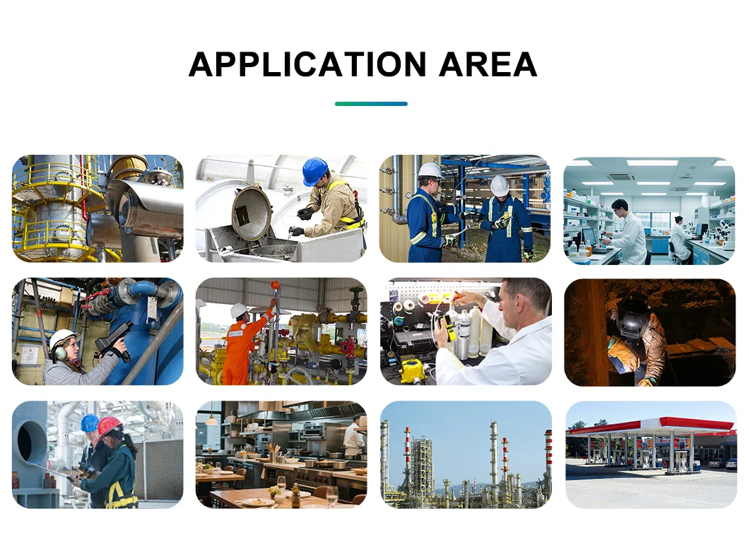 Application Scenarios for Methane Detection