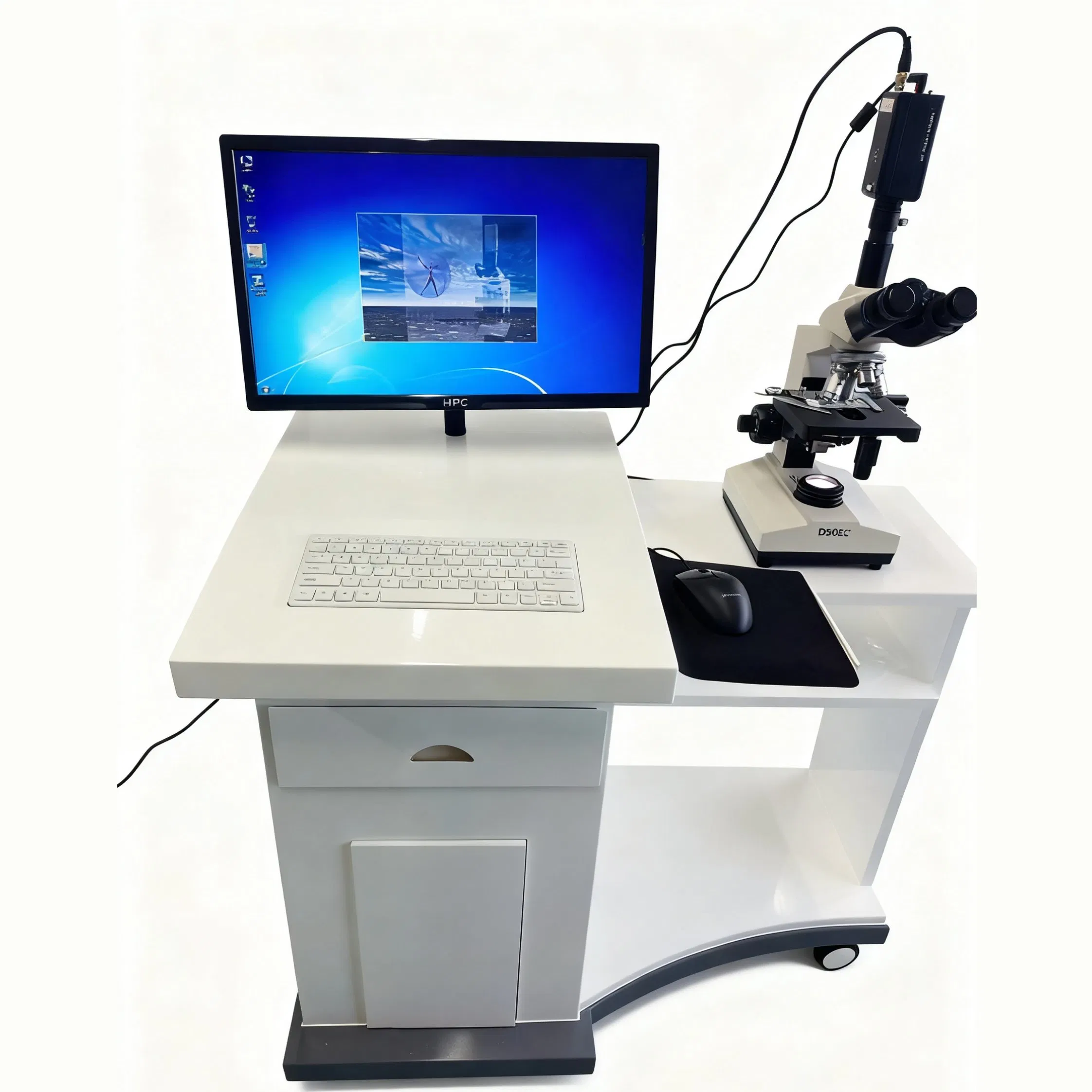 Vaginal Discharge Analyzer Clinical Laboratory Diagnostic Medical Equipment for Gynecology Examination Digital Microscopy System Leukocyte Trichomonas Candida