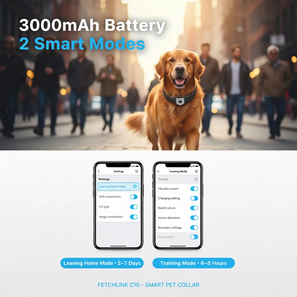 Dog Mini Educator Remote for Dogs