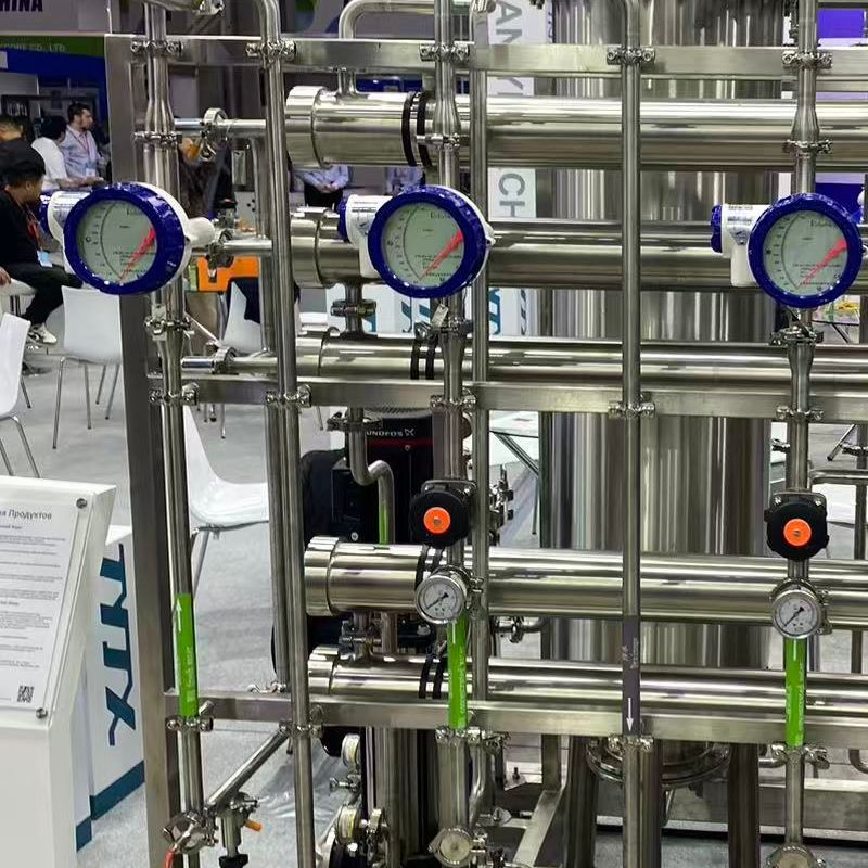 Reverse Osmosis RO Purified Water System Reliable Water Treatment Solution for Pharmaceutical