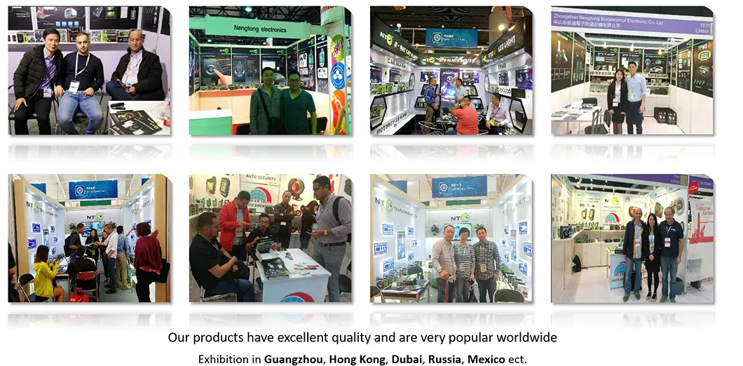 Exhibition Presence