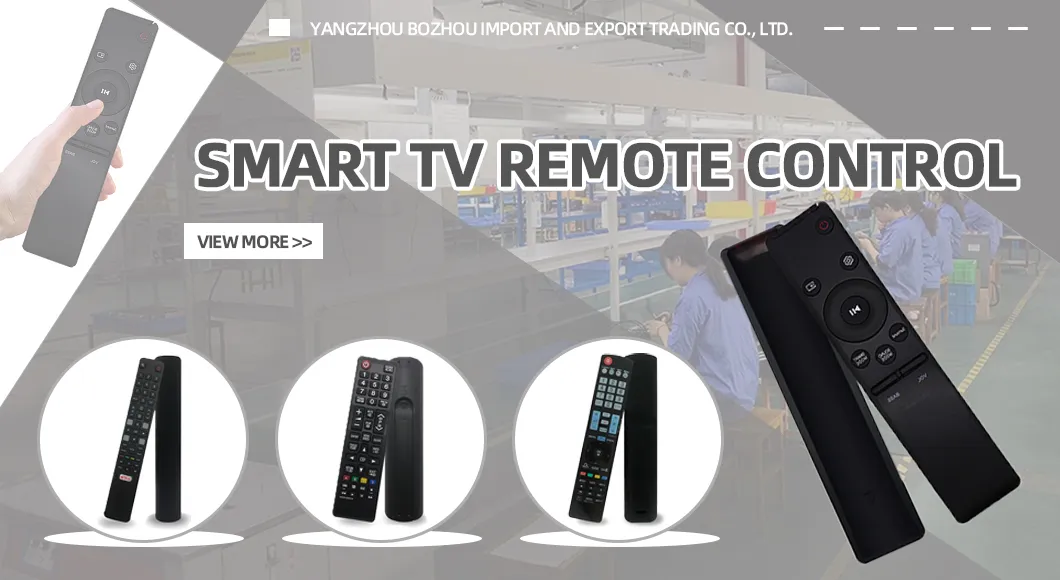 Voice Remote Controller Overview