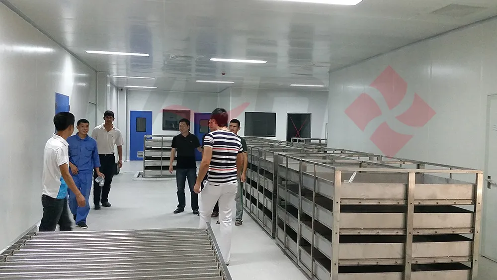 Sterilizing system 2