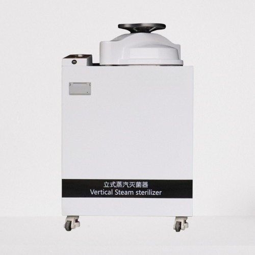 Advanced Steam Sterilization System for Medical Equipment Hygiene