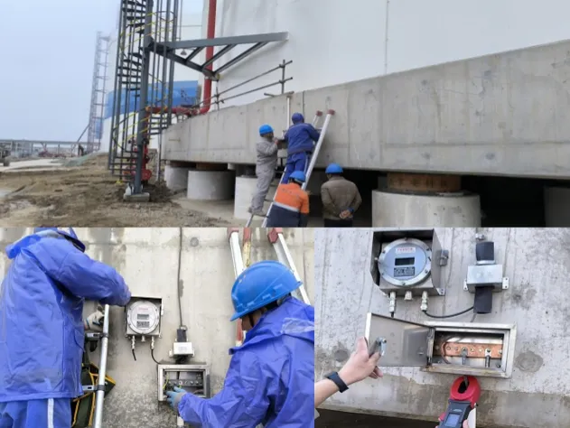 LNG Project