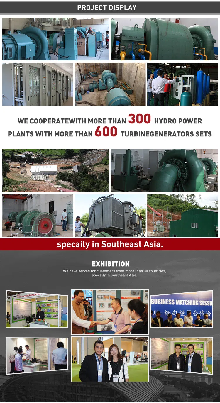 Exhibition Cases
