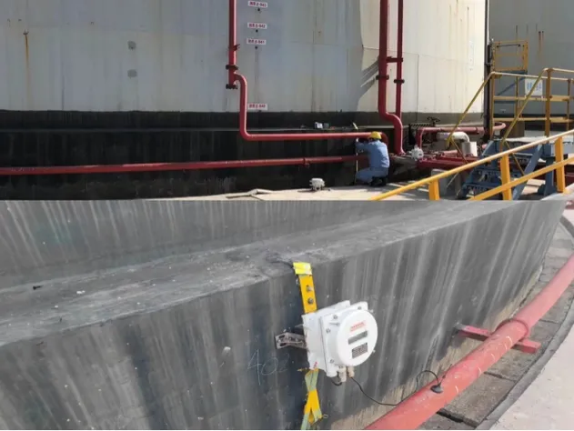 Petrochemical Project