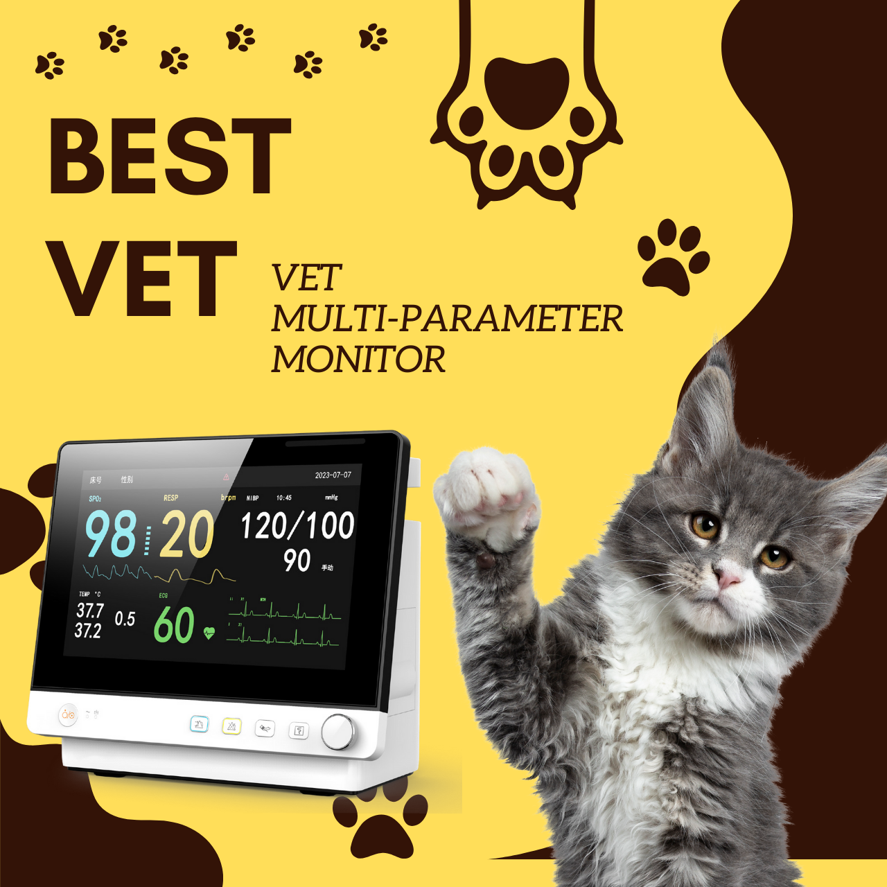 Professional Medical Patient Monitoring Device with 8 Inch Color Screen and Power Off Data Storage Function