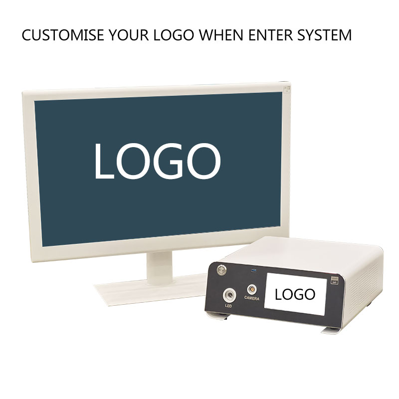 Endoscope System Display