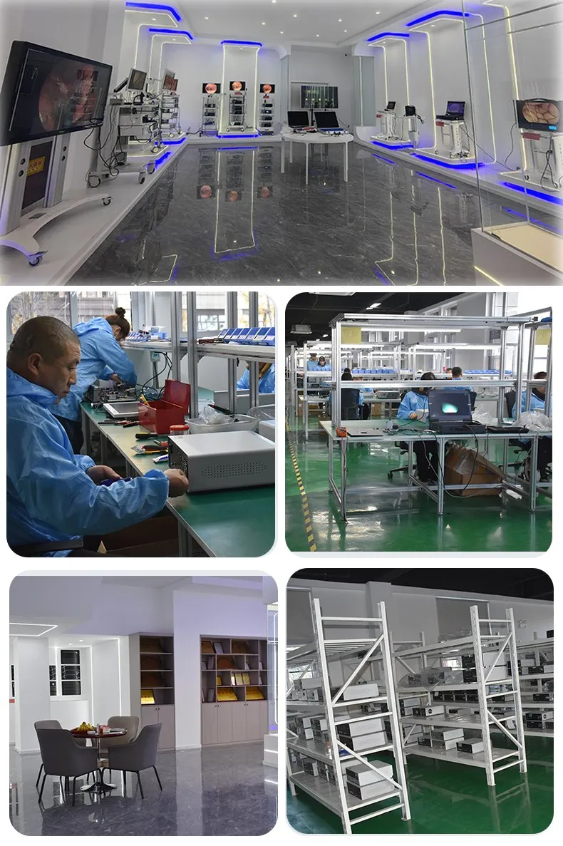 Factory Profile
