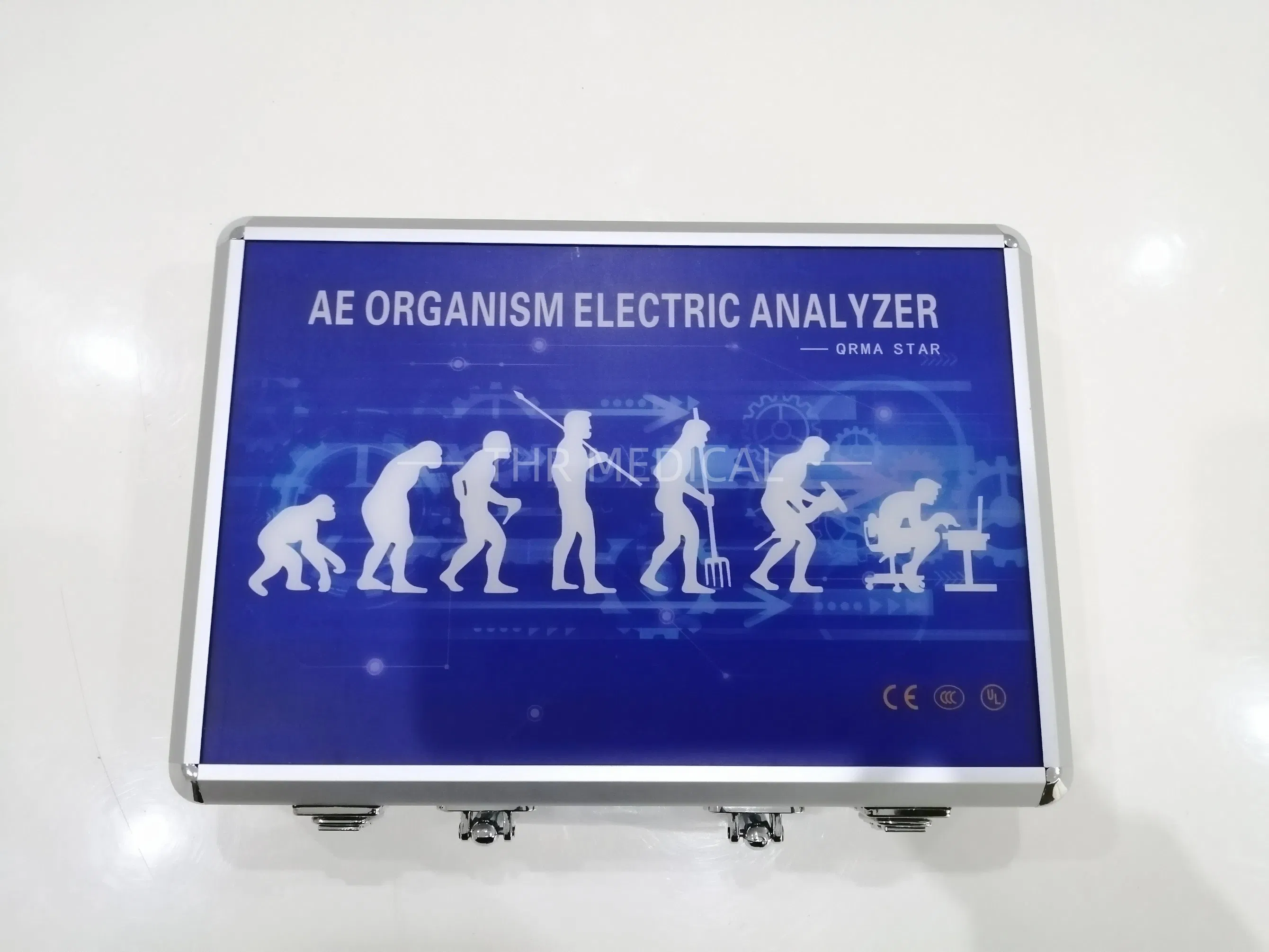 Quantum Body Analyzer Quantum 9th Generation Magnetic Resonance Analyzer Price (THR-M9)