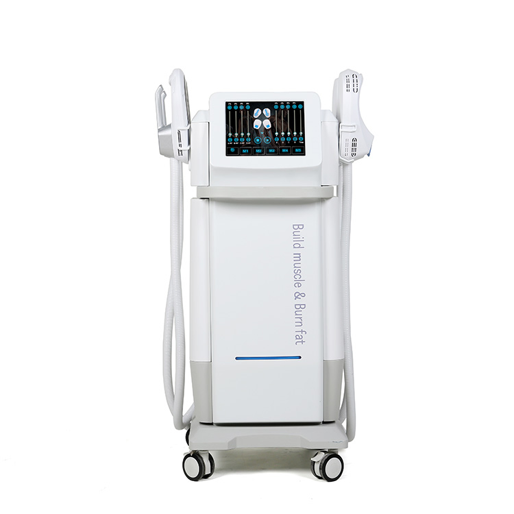 2/4 Handles EMS Body Sculpting Slimming Machine with RF Function