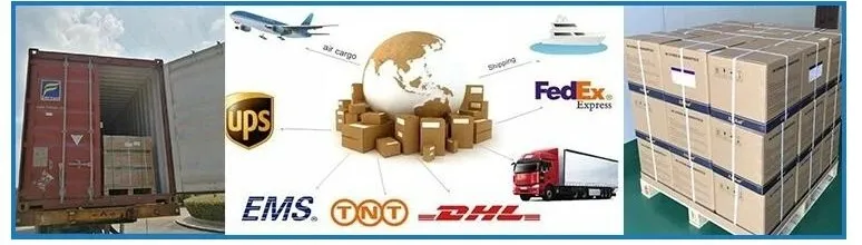Logistics Information 1