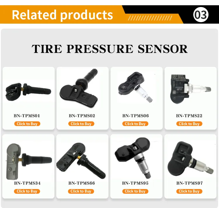 TPMS System 2
