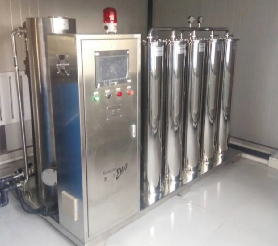 Flexible Capacity