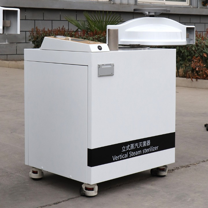 Advanced Steam Sterilization System for Medical Equipment Hygiene