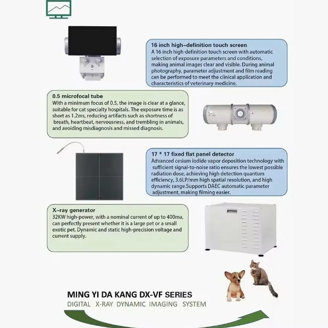 Reliable Advanced Imaging X-ray System for Enhanced Patient Care Digital X-ray Machine