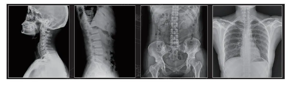 Detailed Images 2